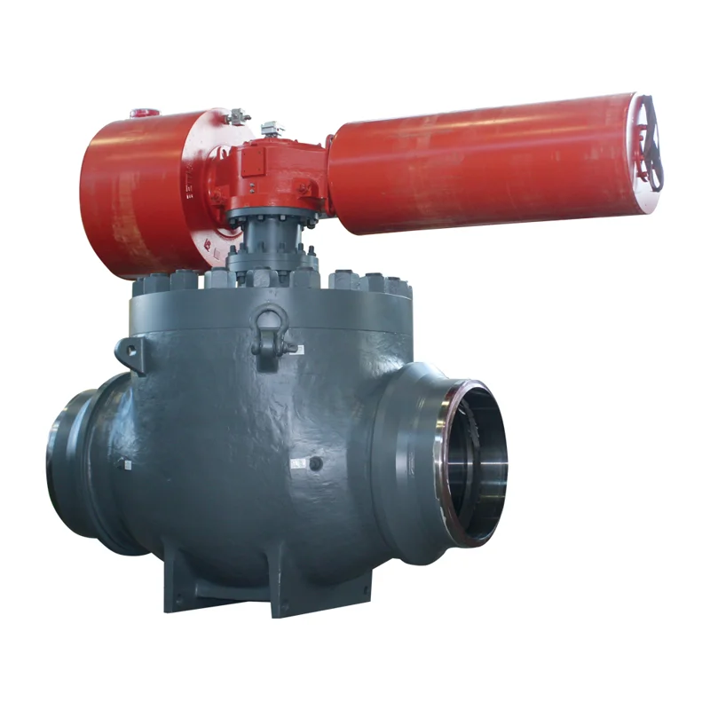 Trunnion Top Entry