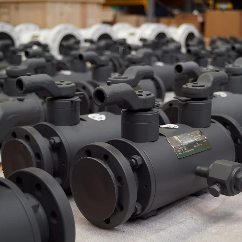 immagine 12